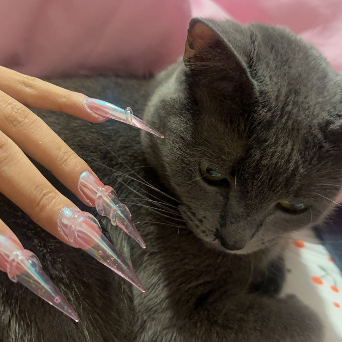 Kokoist - Cat Claw Crazy Gelip